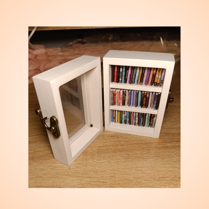 Mini Biblioteca cu mini carti reale