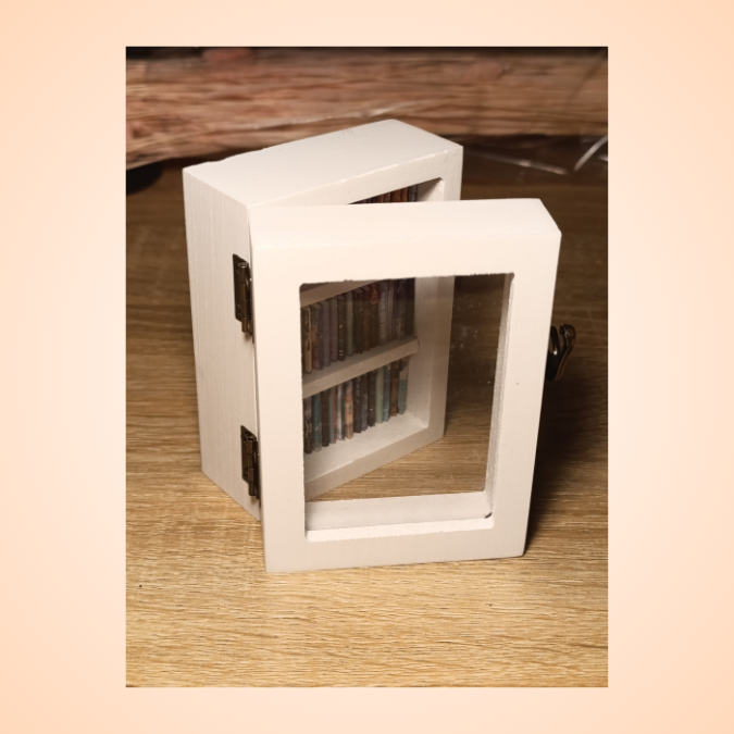 Mini Biblioteca cu mini carti reale