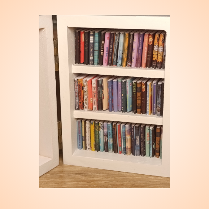 Mini Biblioteca cu mini carti reale