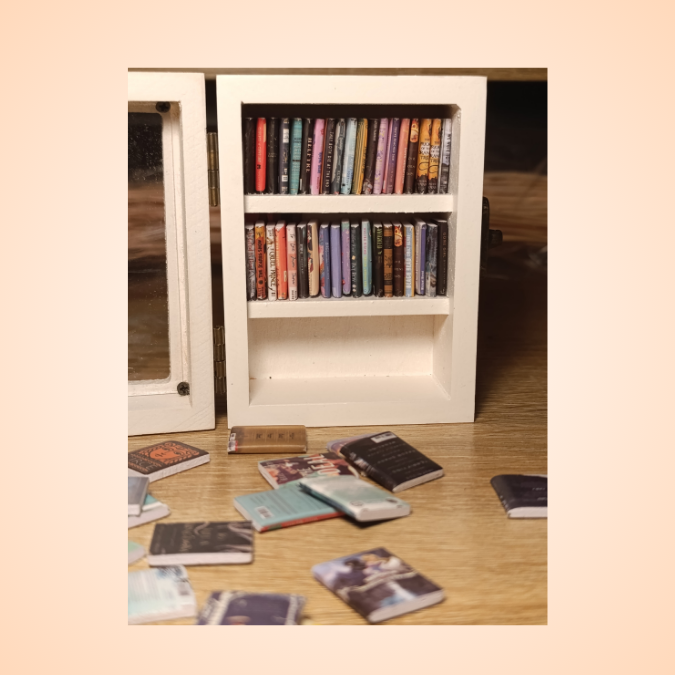 Mini Biblioteca cu mini carti reale