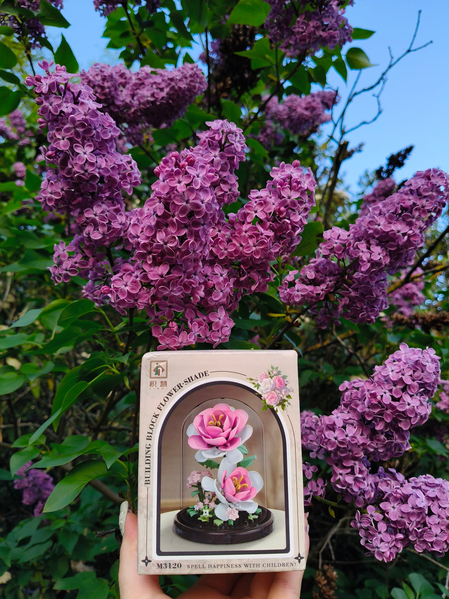 Decor Floral din Blocuri de Construcție în Cupolă